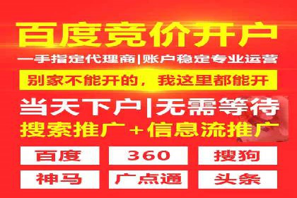 专业SEM托管：企业广告投放的明智之选